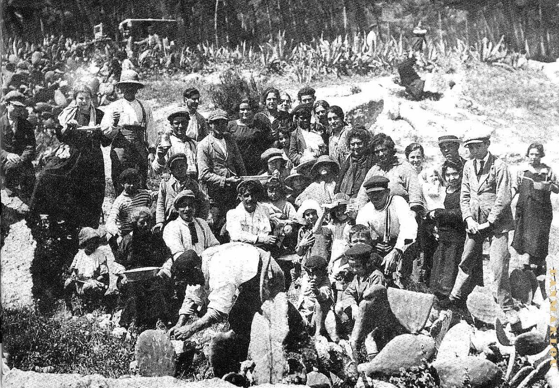 G 035- Planteurs.JPG